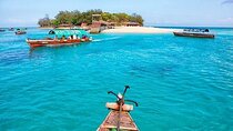 Nungwi Village & Sea Turtle Swimming, Transfer Included –Zanzibar