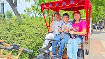 Beijing Half Day: Old Hutong Rickshaw Tour with Peking Duck Lunch
