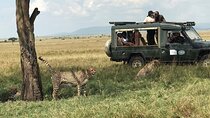 3 Days Maasai Mara Private Safari