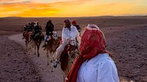 Enjoy a Sunset Camel Ride with a Barbeque Dinner – Agadir