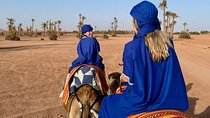 Scenic Camel Ride Adventure in the Forest and River – Agadir