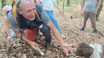 Truffle Hunting with Lunch and Chianti Tasting from Pisa