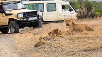3-Day Private Safari Adventure at Lewa Wildlife Conservancy