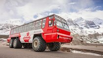 Columbia Icefield Skywalk Peyto Lake Bow Lake Tour from Calgary
