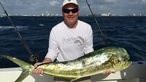 6 Hour Deep Sea Fishing Charters on Lady Helen in Fort Lauderdale