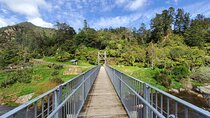 Small Group Tour To Karangahake Gorge & Waihi Gold Exploration