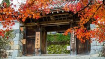 Kyoto Sansen-in Arashiyama Train 1 Day Tour from Osaka or Kyoto