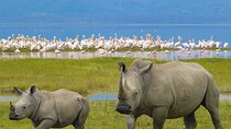 Ngorongoro Crater Private 4-Day Tour Karibu Heritage House