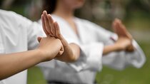 Tai Chi + Kung Fu Indepth Experience Class