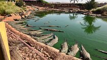 Agadir Croco Park and Argan Goat Farm Adventure