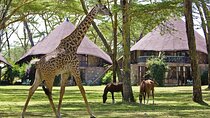 4 Day Masai Mara Lake Naivasha 4X4 Land Cruiser Safari