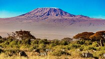 7 Days Mt Kilimanjaro Machame Route