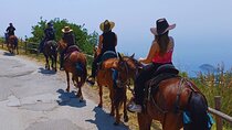 Sorrento Guided Horseback Riding Tour