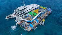 Bali Reef Cruise and Lembongan Island Day Trip