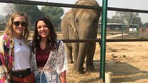 Taj Mahal, Agra Fort & Elephant Rescue Sanctuary Private Day Trip