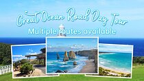 Great Ocean Road Private Customised One Day Tour