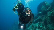 PADI Open Water Diver Course, Learn New Diving Skills :Marsa Alam