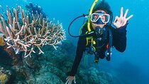 Advanced Open Water PADI Diving Course W/Transfer :Marsa Alam