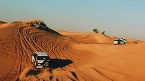 Dubai Desert Safari on Red Dunes – BBQ Dinner, Live Entertainment