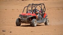 Family Buggy Car Safari With Camel Ride & Transfer :Marsa Alam