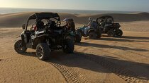 Agadir Desert Adventure: Beach Buggy & Sandboarding with pickup
