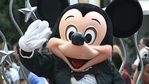 Private transfer from/to CDG, ORLY airports <=> DISNEYLAND