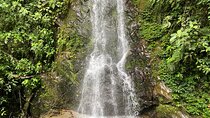 Hiking through the Cocora Valley Waterfalls