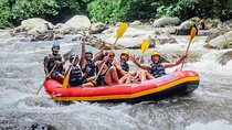 All inclusive : Ayung River White Water Rafting Lunch and Private Transport 