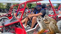 Combo: Buggy and Monkeys in Puerto Plata Group Adventure