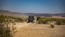 Guided Mojave Desert Off Road RZR Adventure