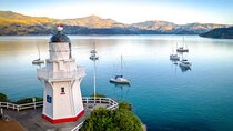Akaroa Private Day Tour from Christchurch