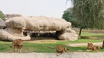 Dubai Safari Park Tickets Wildlife Adventure Experience
