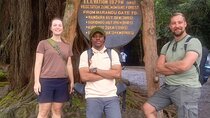 Mount Kilimanjaro Day Hike via Marangu Route – No Hidden Fees