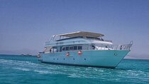 Coral Garden Snorkeling Trip with Lunch & Transfer :Marsa Alam