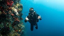 PADI Open Water Diving Course with Transfer :Marsa Alam