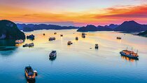 Halong Bay Luxury Day Cruise from Hanoi