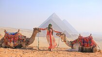 Explore Giza Pyramids and Sphinx with 10 Minute Camel Ride