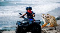 Tours From ATV VIP off road from amber cove Puerto Plata & Monos