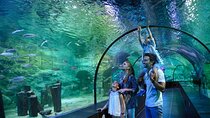 Istanbul Aquarium and Shopping Tour with Hotel Transfers