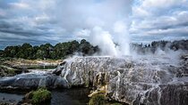 Auckland: Rotorua Te Puia & Maori Village Tour with Haka 