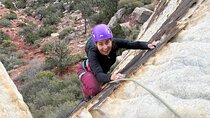 Half-Day Rock Climbing in Red Rock Canyon (Beginner Friendly)