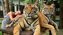 Phuket city tour with Tiger Experience (Best Seller)