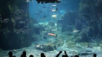 Istanbul Aquarium and Shopping Tour with Hotel Transfers