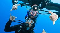 Intro Scuba Diving 2 Dive Stops With Lunch & transfer - Hurghada