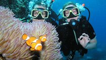 Deep Dive Experience Two Professional Dives & Lunch – Hurghada