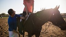 Experience a Cowboy-Style Desert Horseback Adventure :Marsa Alam