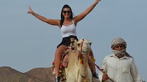 Camel Riding For 1 Hour In the wonderful desert - Hurghada