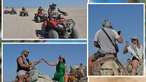 ATV Quad Bike & Camel Adventure 3 Hours Safari Trip :Marsa Alam