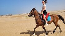 Horseback 1-Hour Desert Ride with Transfer :Marsa Alam