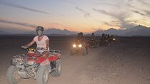 ATV Quad Bike Safari Trip and Camel Ride :Marsa Alam